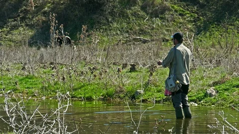 Flyfishing on River 4 Stock Footage 106706581