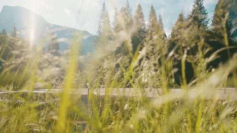 Flyfishing under Half Dome with Grass Stock Footage 117753266