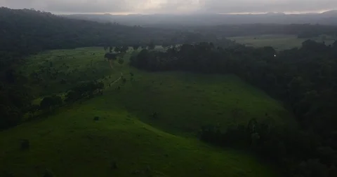 Flyig above grass field in forest at national park in Thailand Stock Footage 111302055
