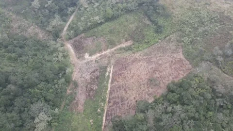 Flying with a 4k drone in the area "El Castillo" in Xalapa Veracruz Stock Footage 169489647