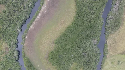 Flying with a 4k drone in the coastal area of ​​Riachuelos Veracruz Stock Footage 170263046