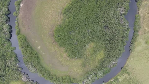 Flying with a 4k drone in the coastal area of ​​Riachuelos Veracruz Stock Footage 170263059