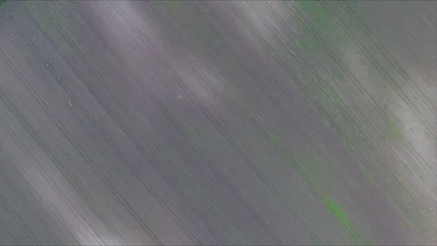 Flying above agricultural fields Stock Footage 103179215