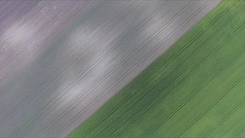 Flying above agricultural fields Stock Footage 103179283