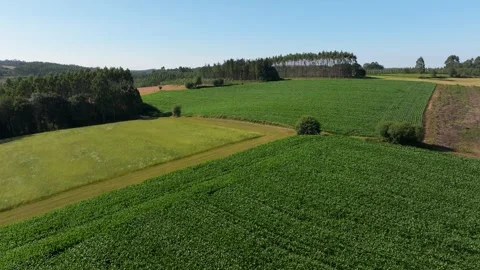 Flying Above Agricultural Fields In Spring. drone shot Stock Footage 282795189