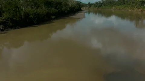 Flying Above The Amazon River In The Rainforest Of Ecuador. drone tilt-up Stock Footage 200508802