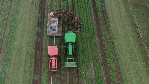 Flying above and around two farm tractors in a carrot field Stock Footage 159014389