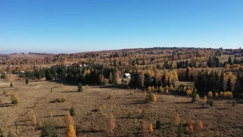 Flying above autumn forest and mountain countryside village. Aerial drone view Stock Footage 252173879