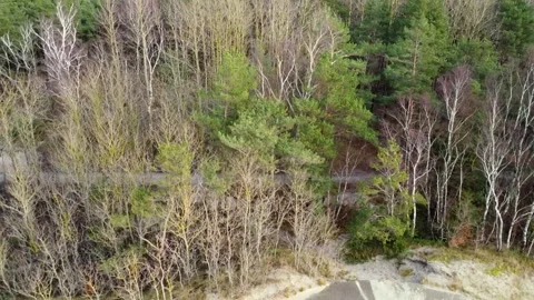 Flying Above Baltic Coastal Forest and Seaside Landscape 4K Stock Footage 330231956