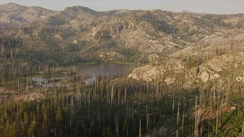 Flying above bare forest in mountains at sunset Stock Footage 135953136