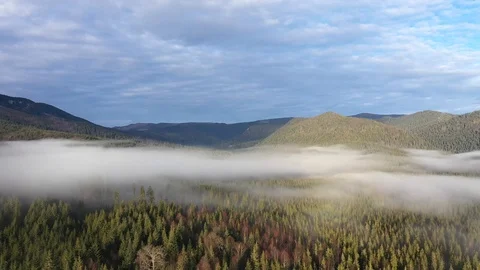 Flying above clouds. Aerial drone 4k movie of sunrise, misty morning and forest Stock Footage 99282881
