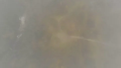 Flying above the clouds during sunset or sunrise 스톡 동영상 128989596