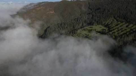 Flying above the clouds Stock Footage 232543938