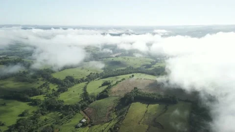 Flying above the clouds over forest and green fields below. Aerial. Stock Footage 233219200