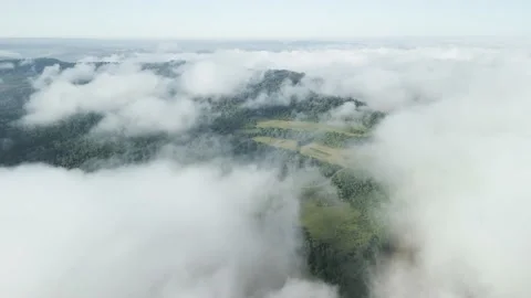 Flying above the clouds over forest, mountain and river. Aerial. Stock Footage 233219440