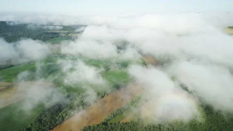 Flying above the clouds over green fields and a river seen through the clouds. Stock Footage 233218318