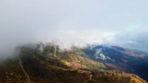 Flying above the clouds over Malinowska Skała in Beskidy Mountains. Stock Footage 145689384