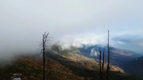 Flying above the clouds over Malinowska Skała in Beskidy Mountains. Stock Footage 145754723