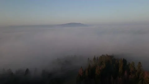 Flying up above the clouds revealing the forest and clouds Stock Footage 195828238