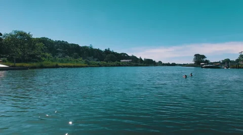 Flying above ducks Stock Footage 67494475