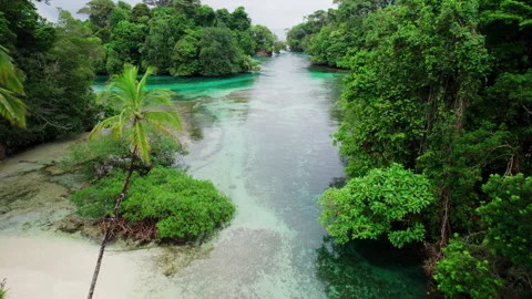 Flying above emerald and blue water between palm trees in Escudo Island Panama Video stock 276240918