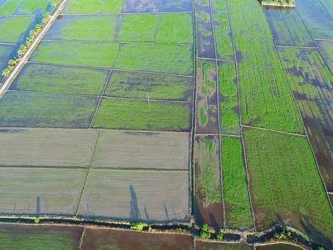 Flying above endless and vast agriculture area. Видео 80395747