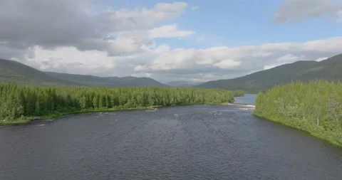 Flying above fast flowing river winding through a verdant forest and over Stock Footage 218826175