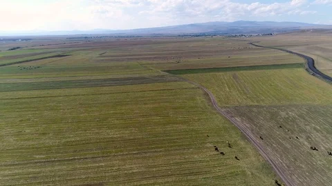 Flying Above Field in Kars Turkey Stock-Footage 100461875