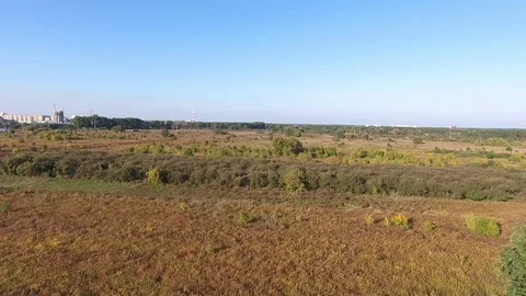 Flying above fields and trees drone view Stock Footage 69854619