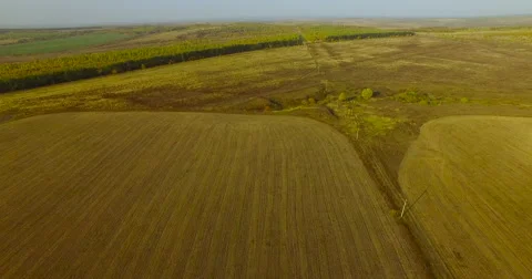 Flying above fields Stock Footage 56562920