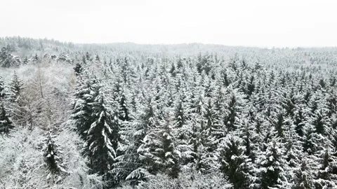 Flying above a forest during winter Video stock 146538253