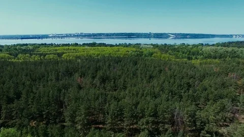 Flying above forest Stock Footage 75370481