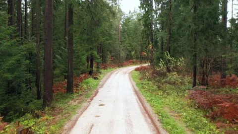 Flying above forest road landscape Stock Footage 337659010