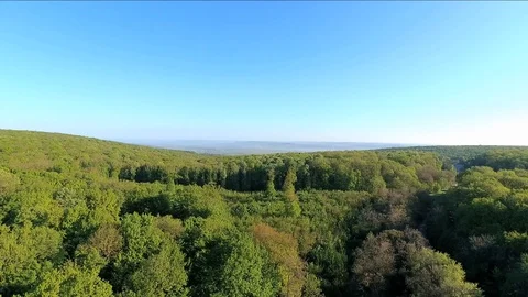 Flying above the forrest Vídeos de archivo 89639683