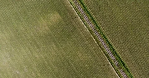 Flying above a grass field Stock Footage 77476751