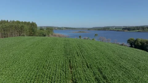 Flying Above Green Fields In Summer In Villagudín - Drone Shot Stock Footage 281645571