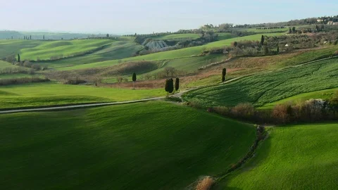 Flying above green spring landscape and  a curvy road with trees 3 Stock Footage 127322859