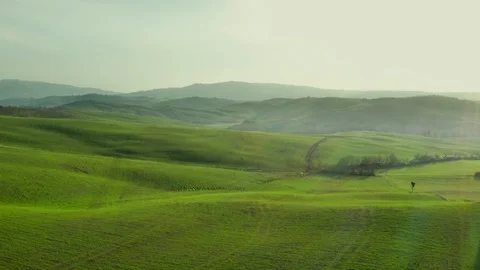 Flying above green spring landscape and  a trees Stock Footage 127367949
