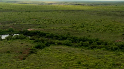 Flying above green Texas prairie Stock Footage 59538997