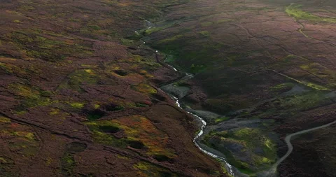 Flying above heather moors Stock Footage 249506759