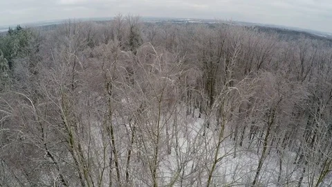 Flying above an Ice storm forest Stock Footage 69734408