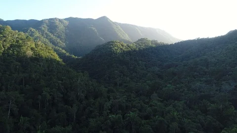 Flying above a jungle with clouds and mist Stock Footage 122690832