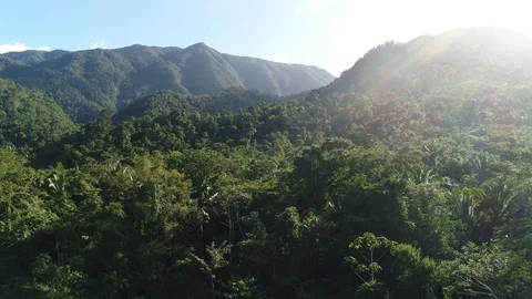 Flying above a jungle with clouds and mist Stock Footage 122693653