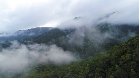 Flying above a jungle with clouds and mist Stock Footage 122695660