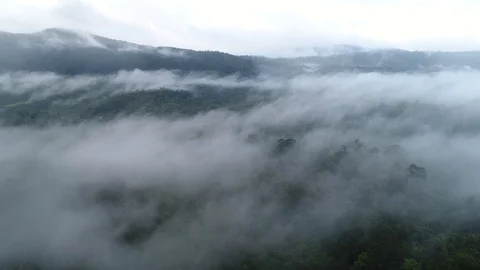 Flying above a jungle with clouds and mist Stock Footage 122696016
