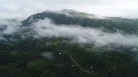 Flying above a jungle with clouds and mist Stock Footage 122696322