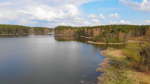 Flying above the lake and forest Stock Footage 129841376
