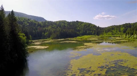 Flying above the lake Stock Footage 63852800