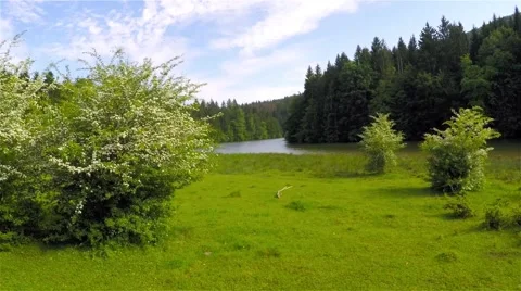 Flying above the lake Video stock 63853203