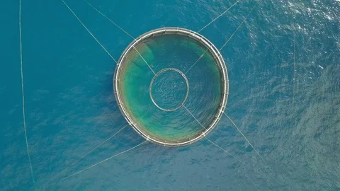 Flying above a large pool of fish farm, aquaculture Stock Footage 114578507
